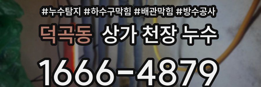 덕곡동 상가 천장 누수
