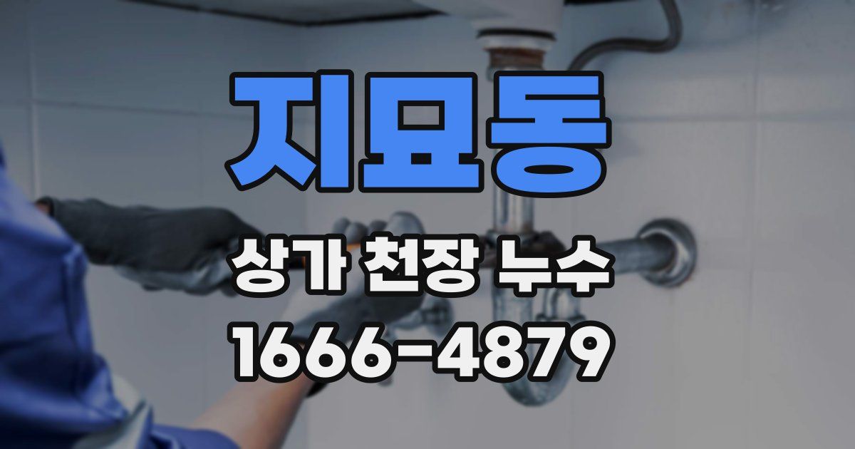 지묘동 상가 천장 누수