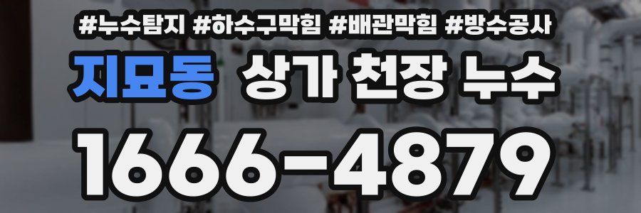 지묘동 상가 천장 누수