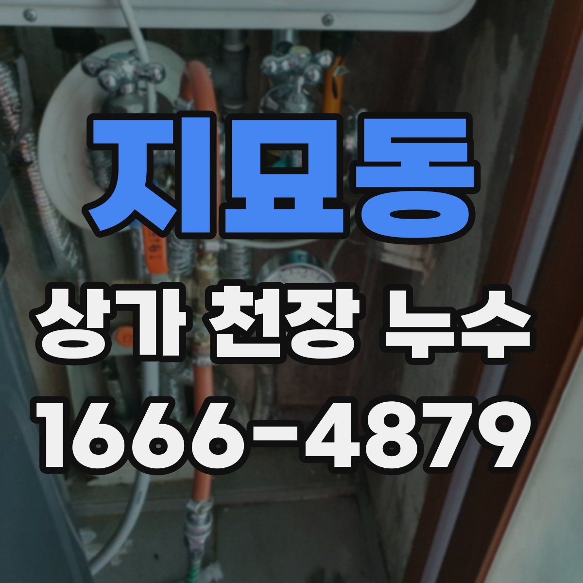 지묘동 상가 천장 누수