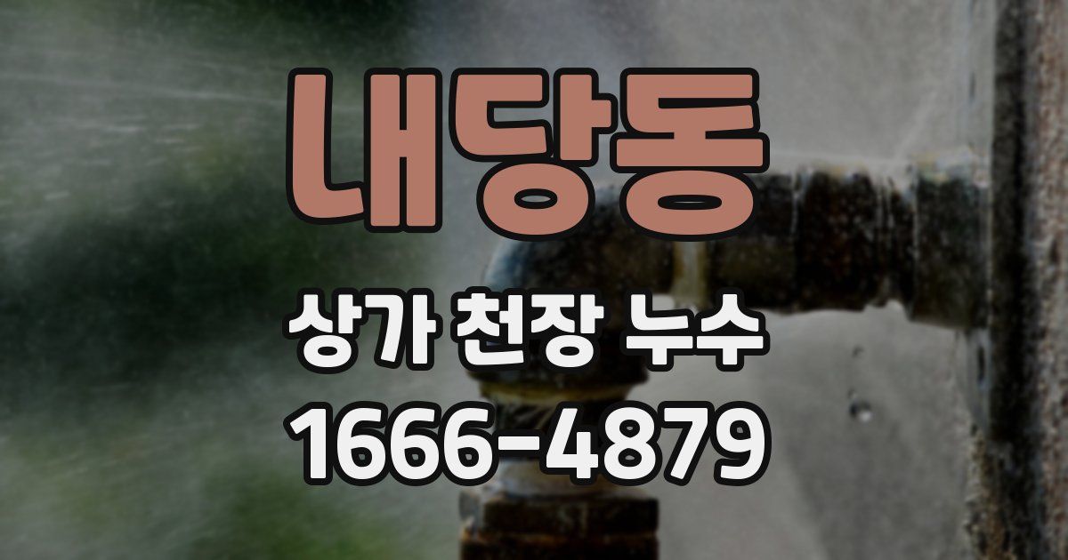 내당동 상가 천장 누수