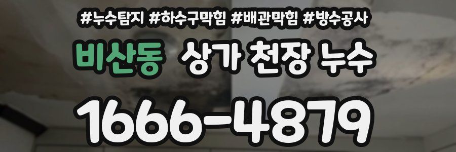 비산동 상가 천장 누수