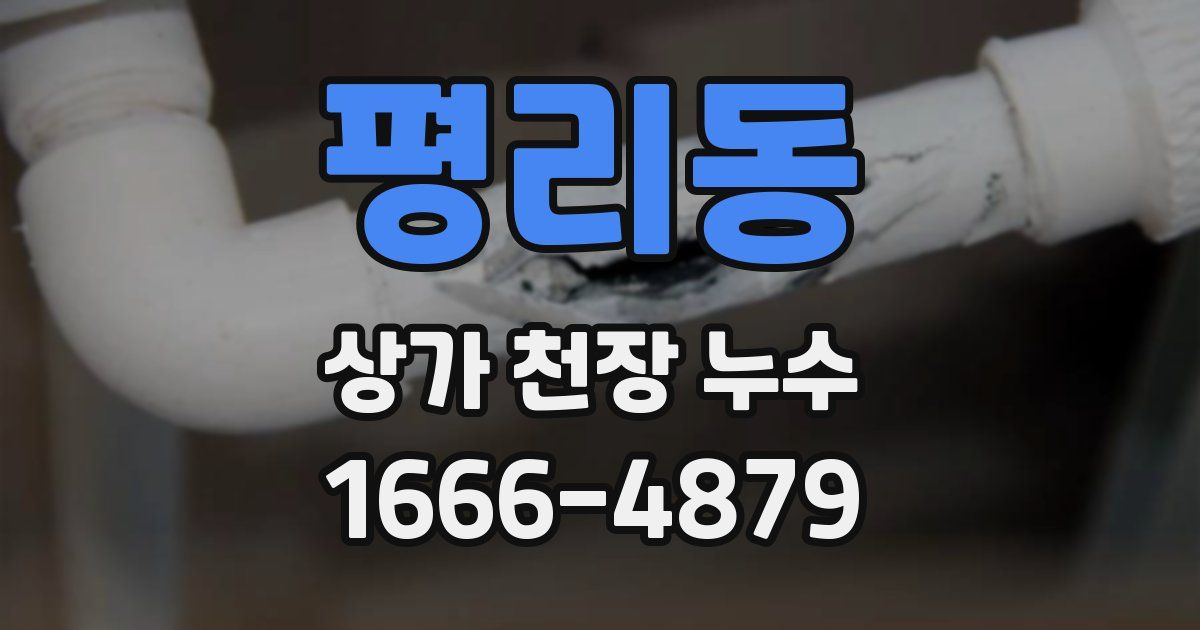 평리동 상가 천장 누수