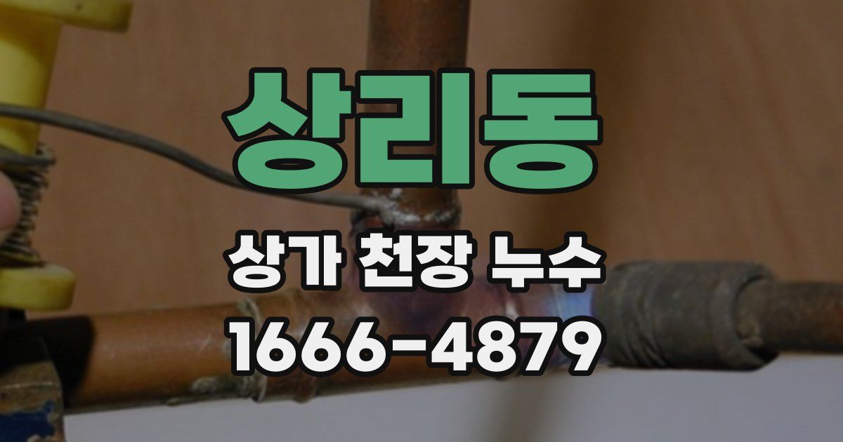 상리동 상가 천장 누수