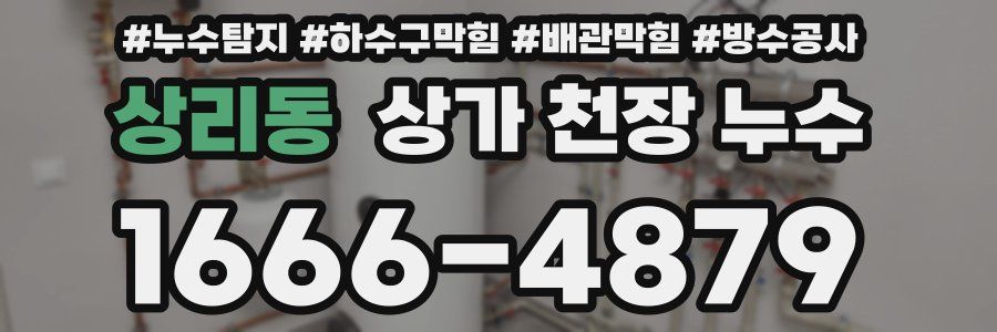 상리동 상가 천장 누수