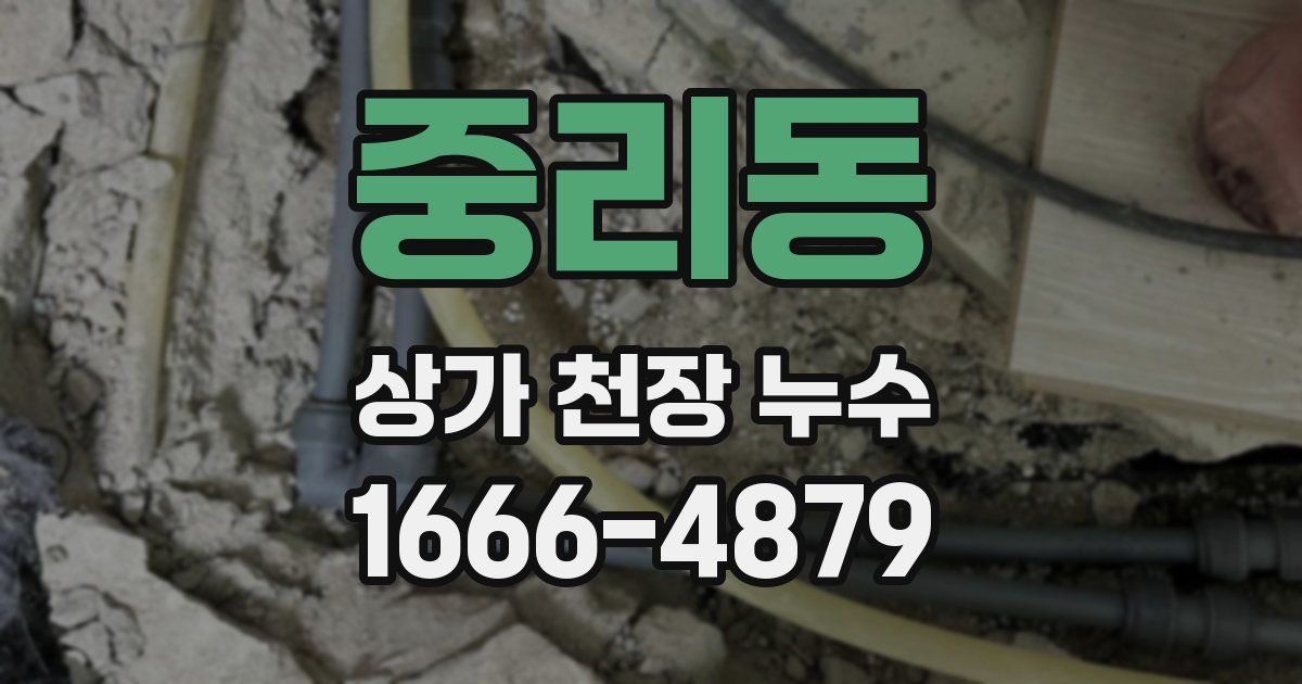 중리동 상가 천장 누수