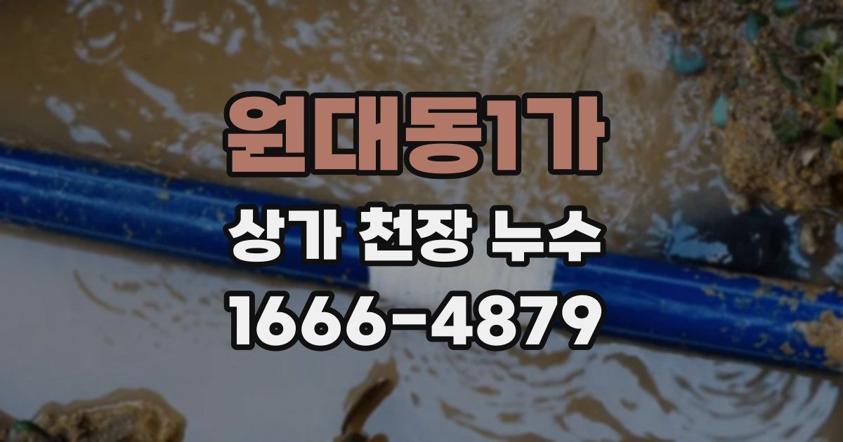 원대동1가 상가 천장 누수