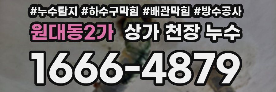 원대동2가 상가 천장 누수