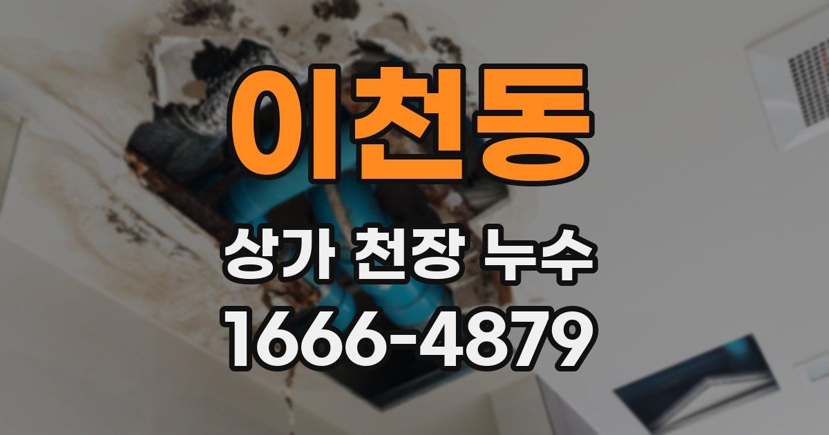 이천동 상가 천장 누수