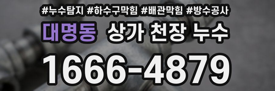 대명동 상가 천장 누수
