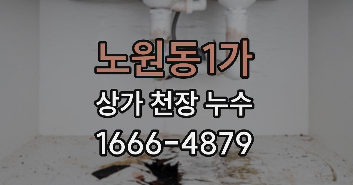 노원동1가 상가 천장 누수