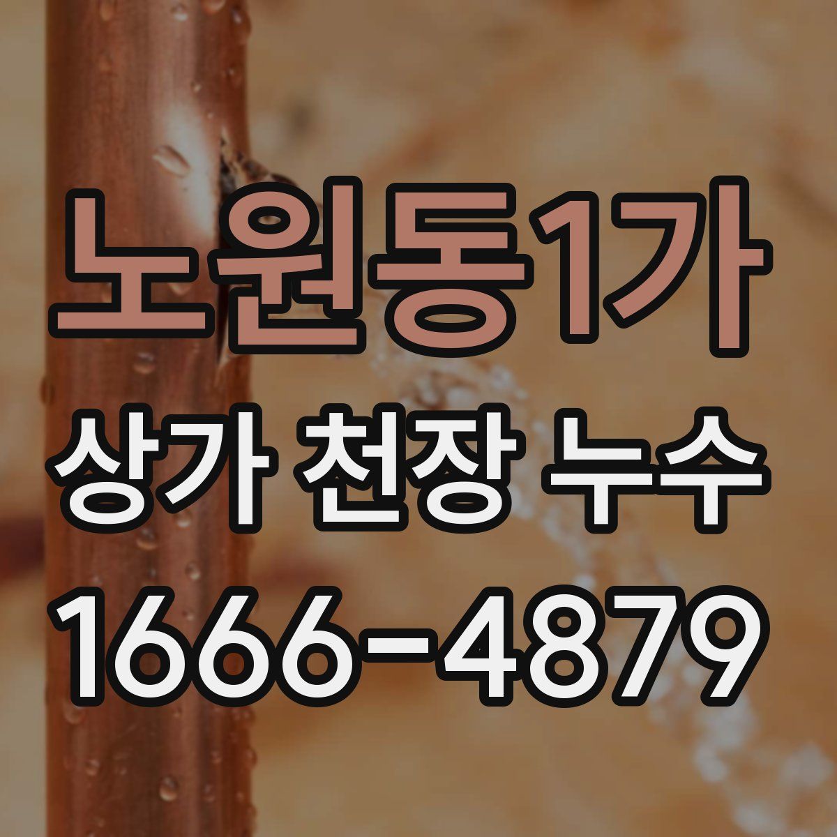 노원동1가 상가 천장 누수