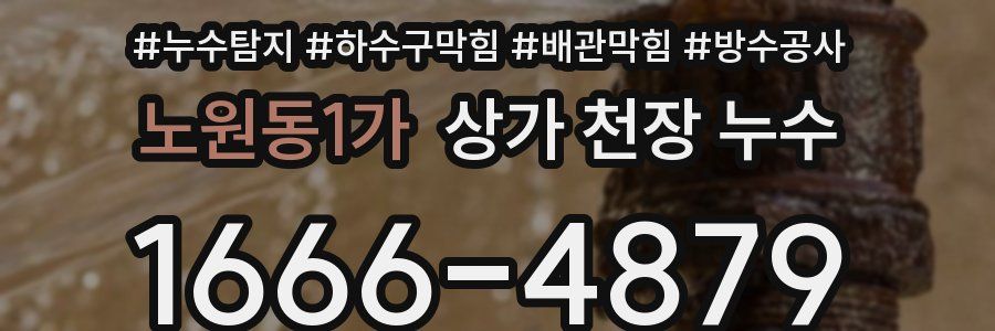 노원동1가 상가 천장 누수