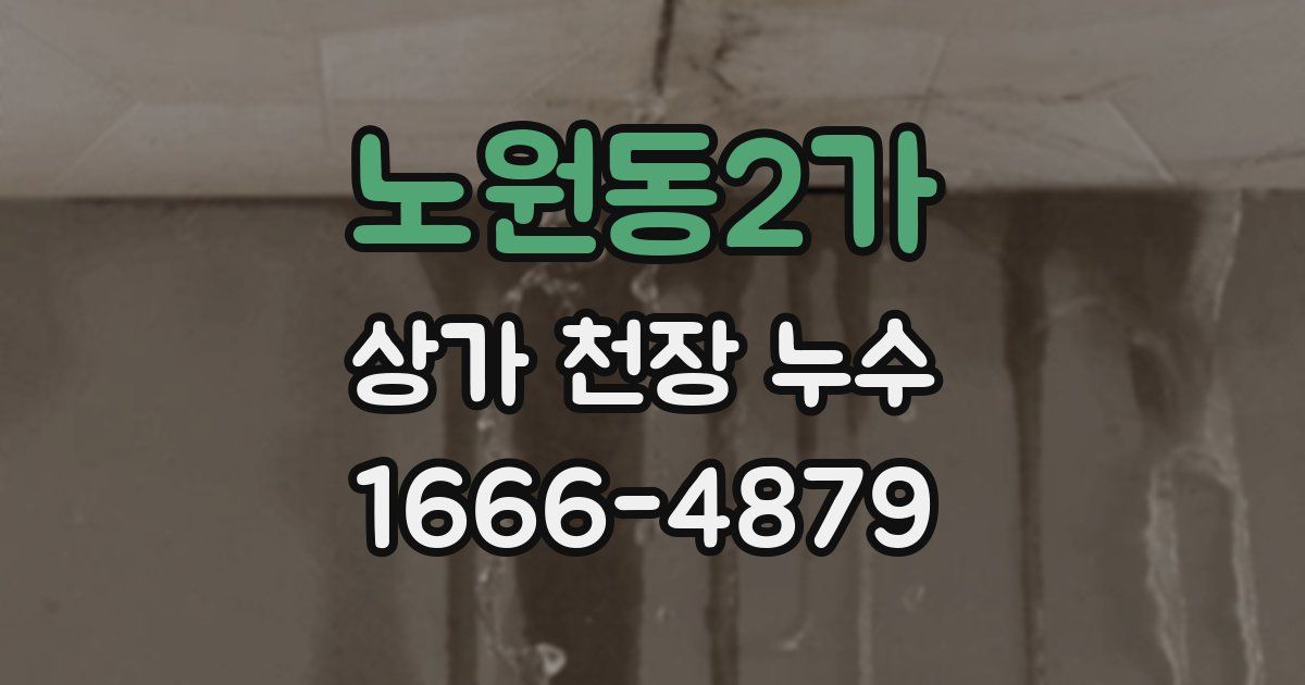 노원동2가 상가 천장 누수