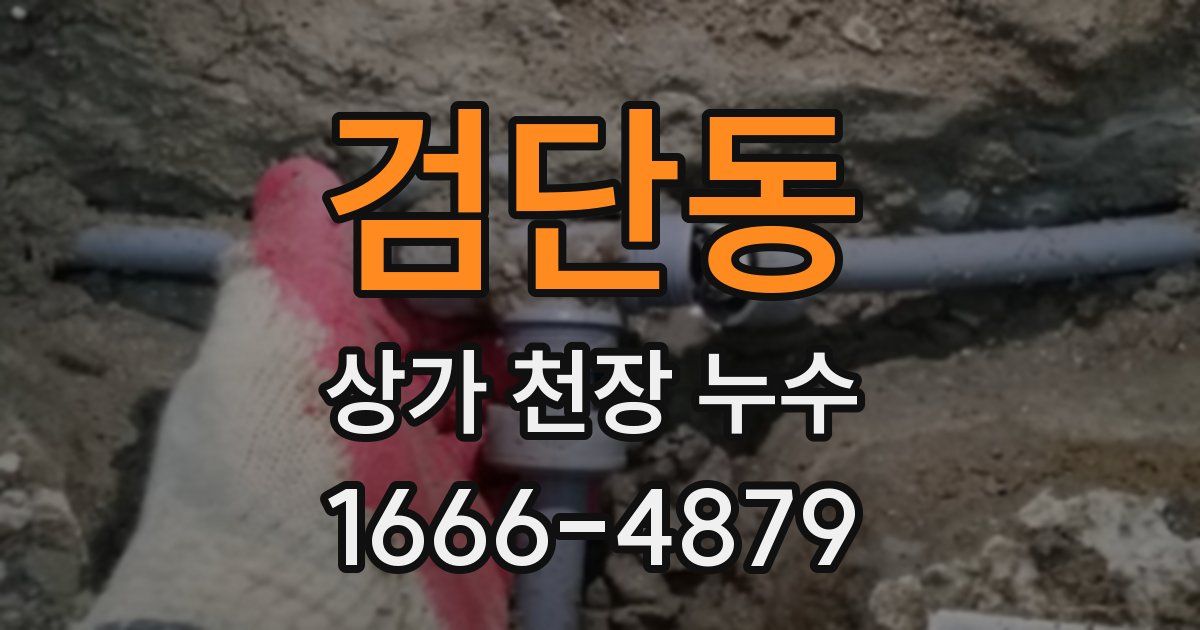 검단동 상가 천장 누수