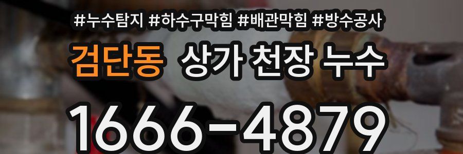 검단동 상가 천장 누수