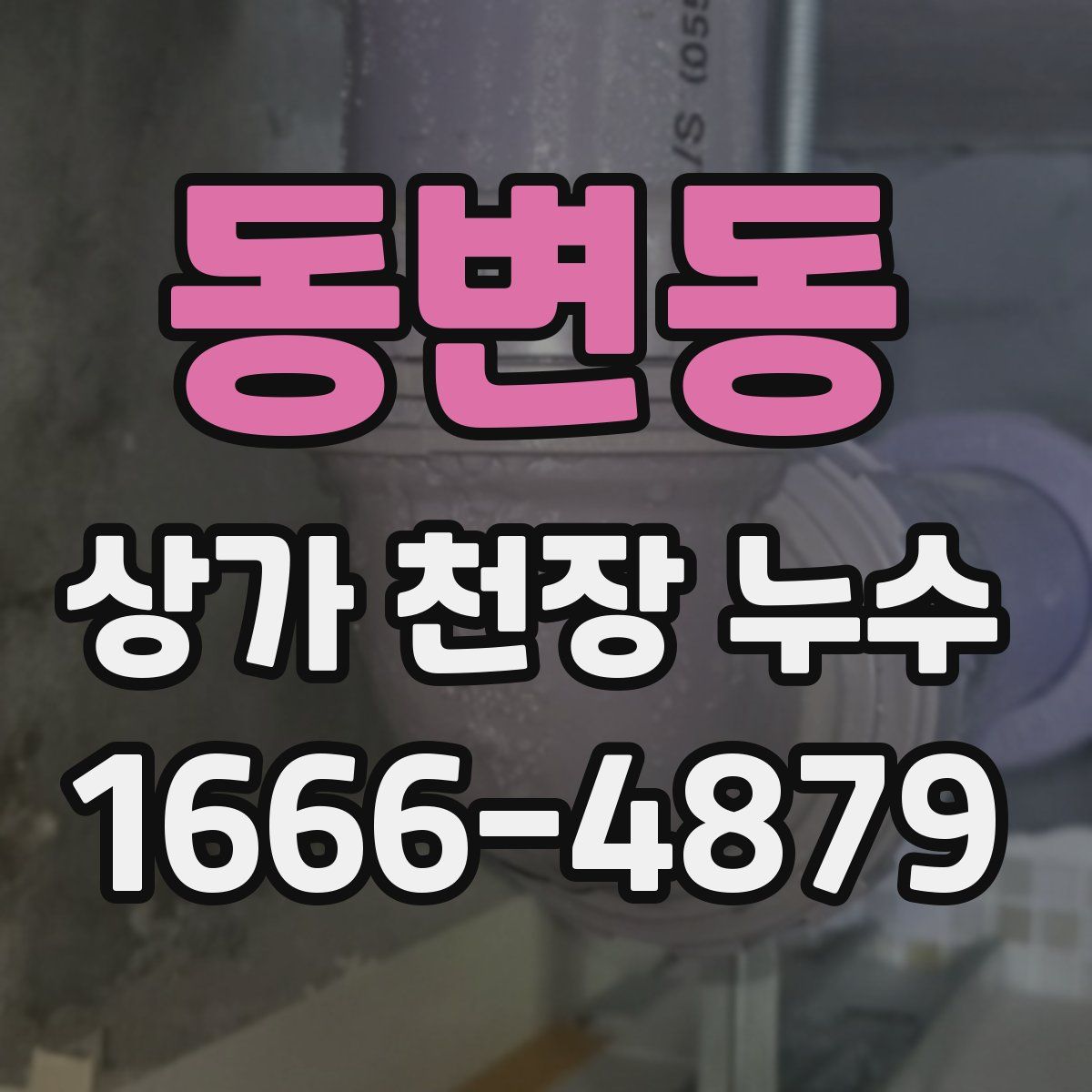 동변동 상가 천장 누수