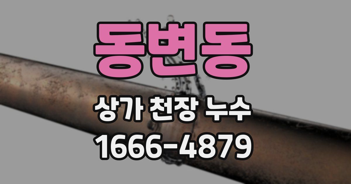 동변동 상가 천장 누수