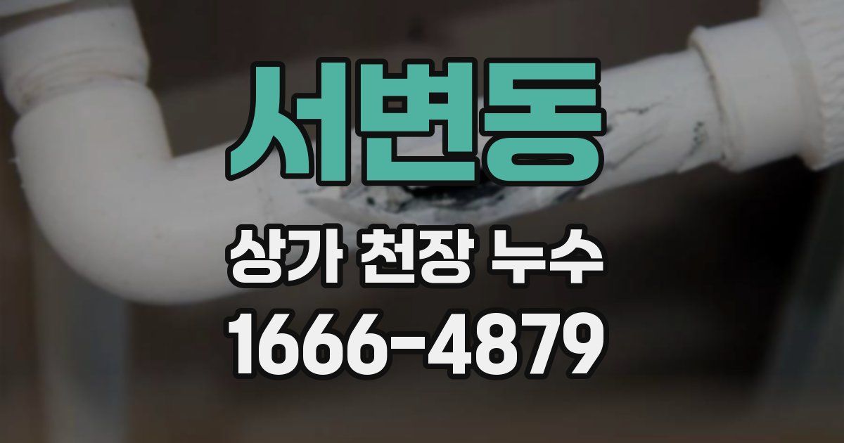 서변동 상가 천장 누수