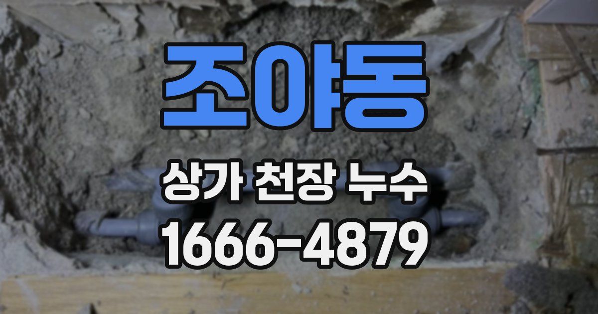 조야동 상가 천장 누수