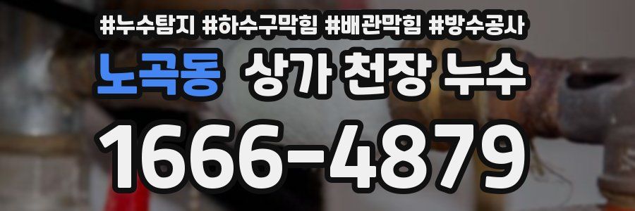 노곡동 상가 천장 누수