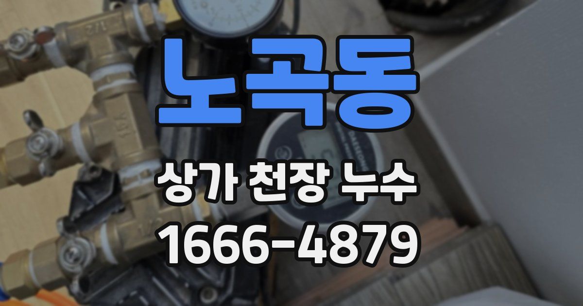 노곡동 상가 천장 누수