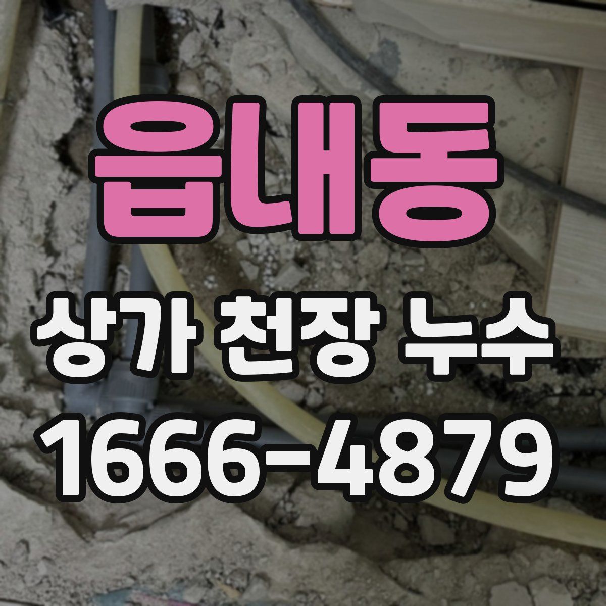 읍내동 상가 천장 누수