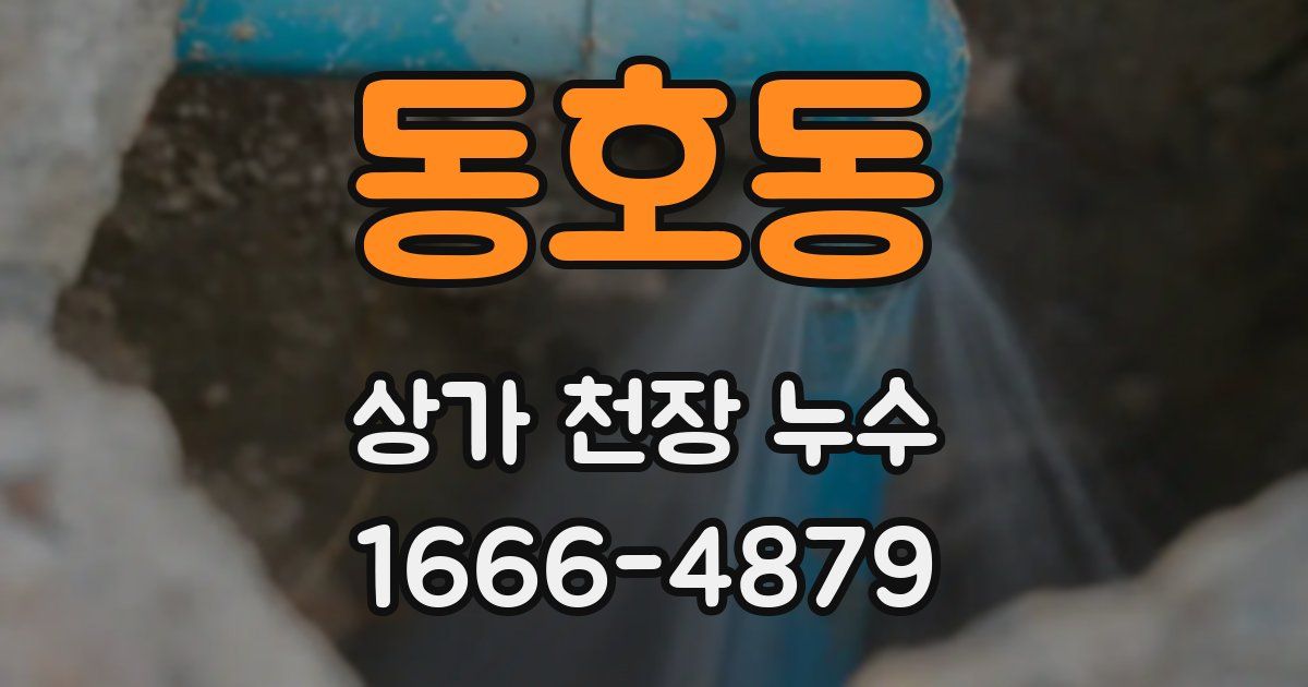 동호동 상가 천장 누수