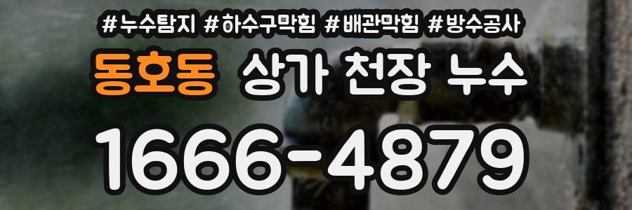 동호동 상가 천장 누수
