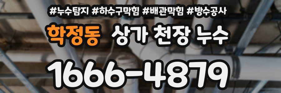 학정동 상가 천장 누수
