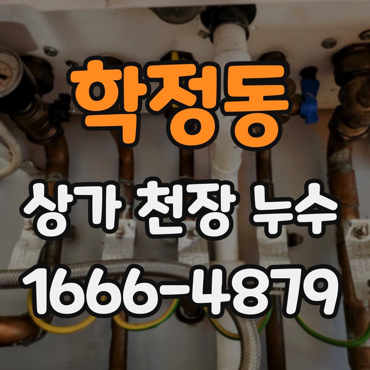 학정동 상가 천장 누수