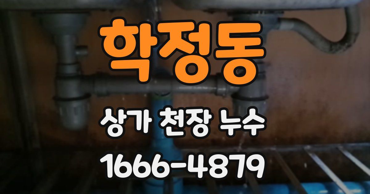 학정동 상가 천장 누수
