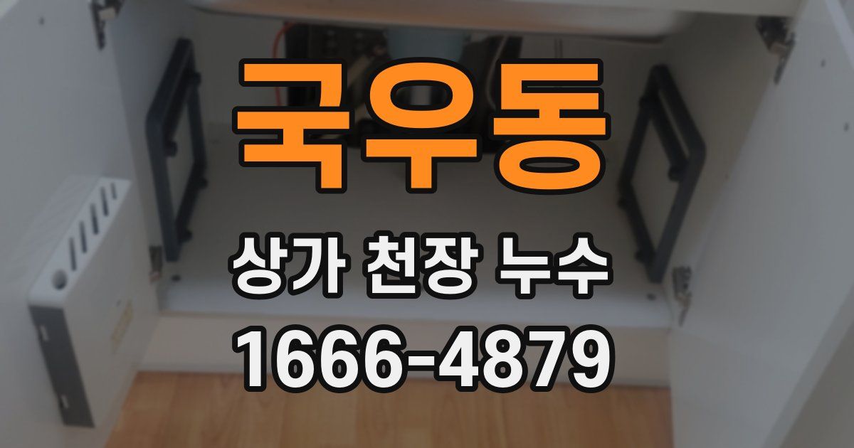 국우동 상가 천장 누수
