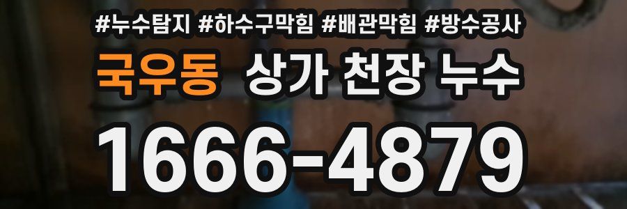 국우동 상가 천장 누수