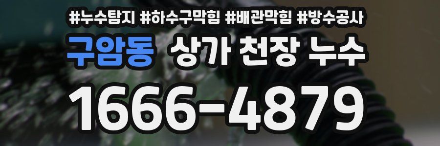 구암동 상가 천장 누수