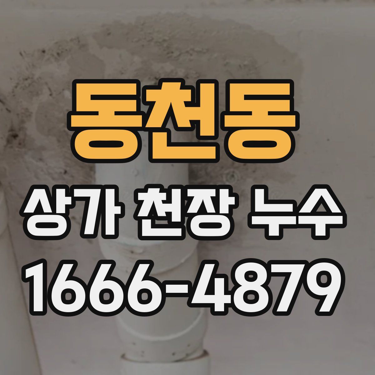동천동 상가 천장 누수
