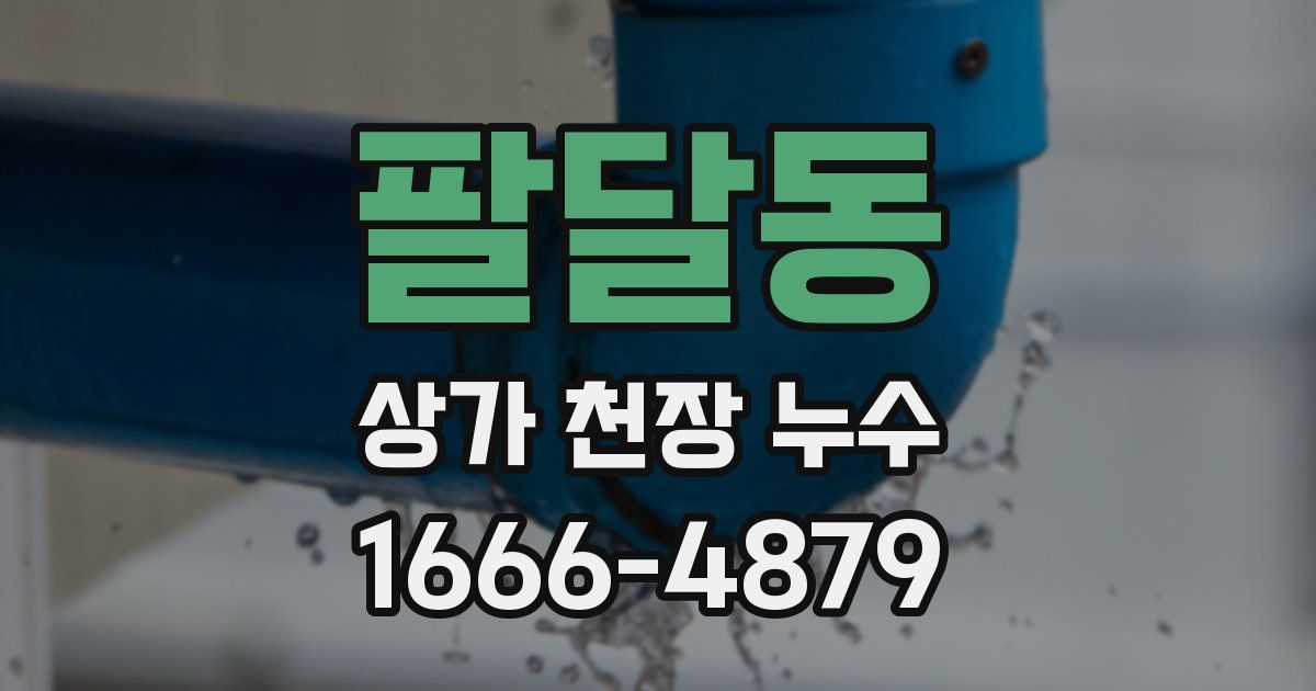 팔달동 상가 천장 누수