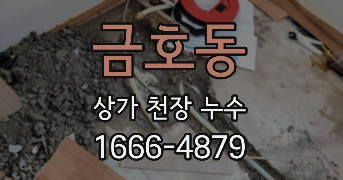 금호동 상가 천장 누수