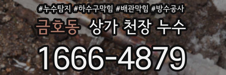 금호동 상가 천장 누수