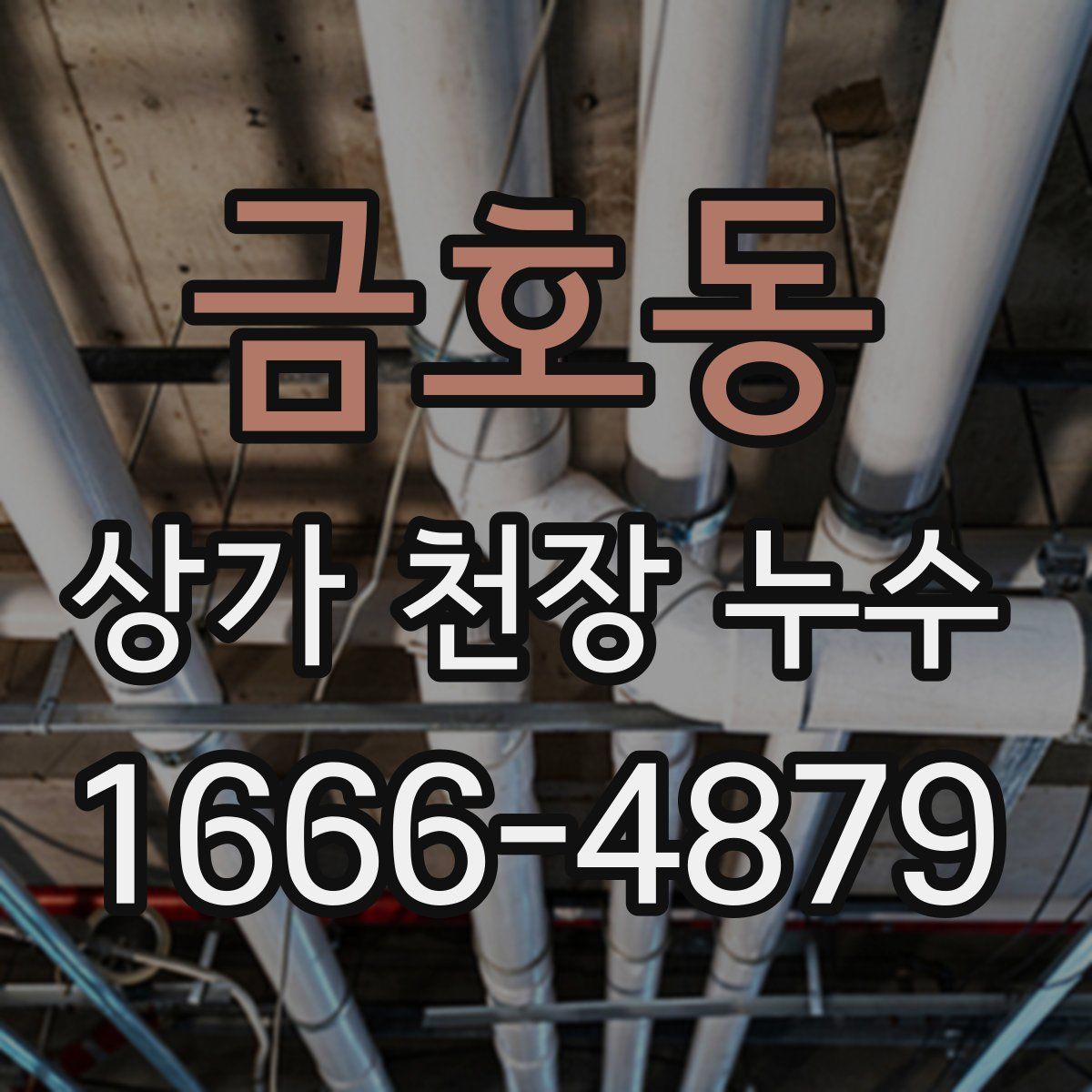 금호동 상가 천장 누수