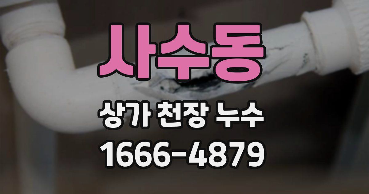 사수동 상가 천장 누수