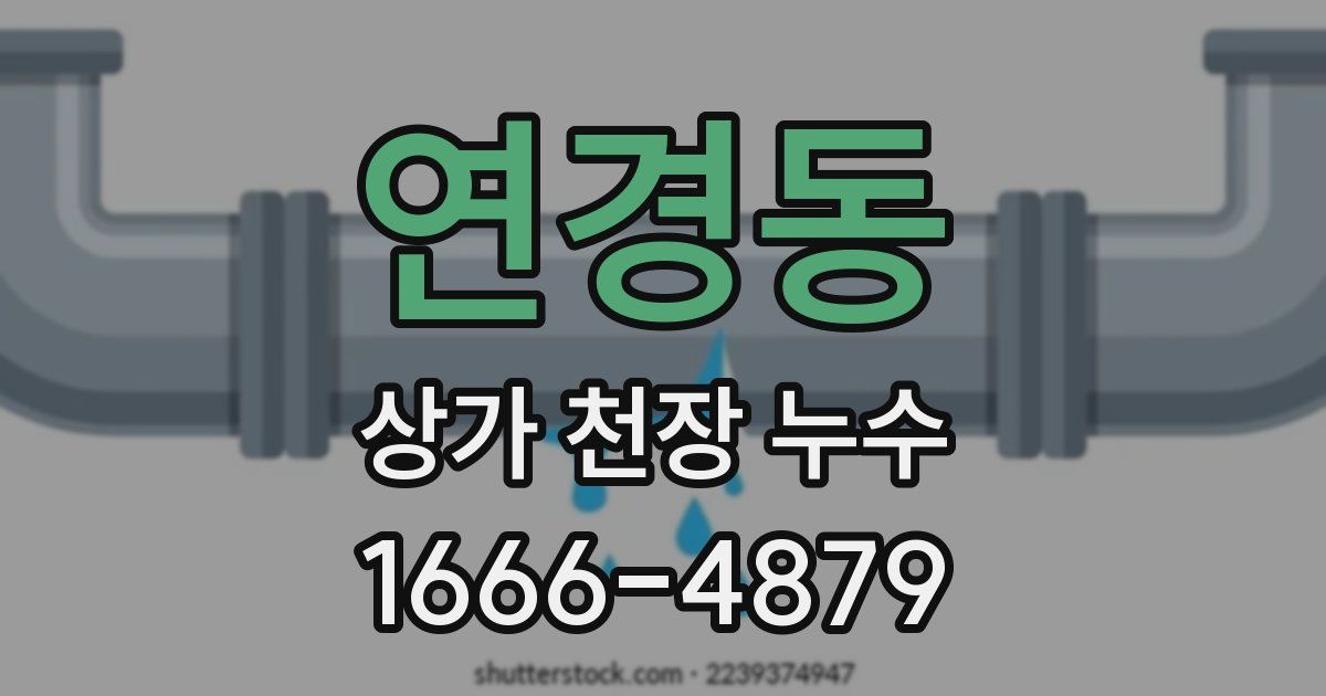 연경동 상가 천장 누수