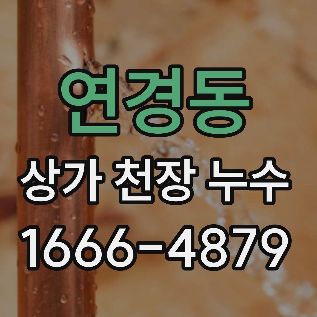 연경동 상가 천장 누수