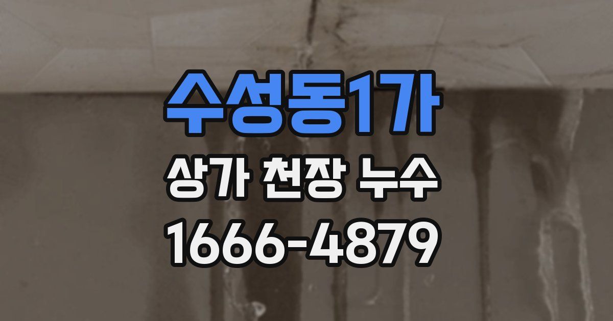 수성동1가 상가 천장 누수