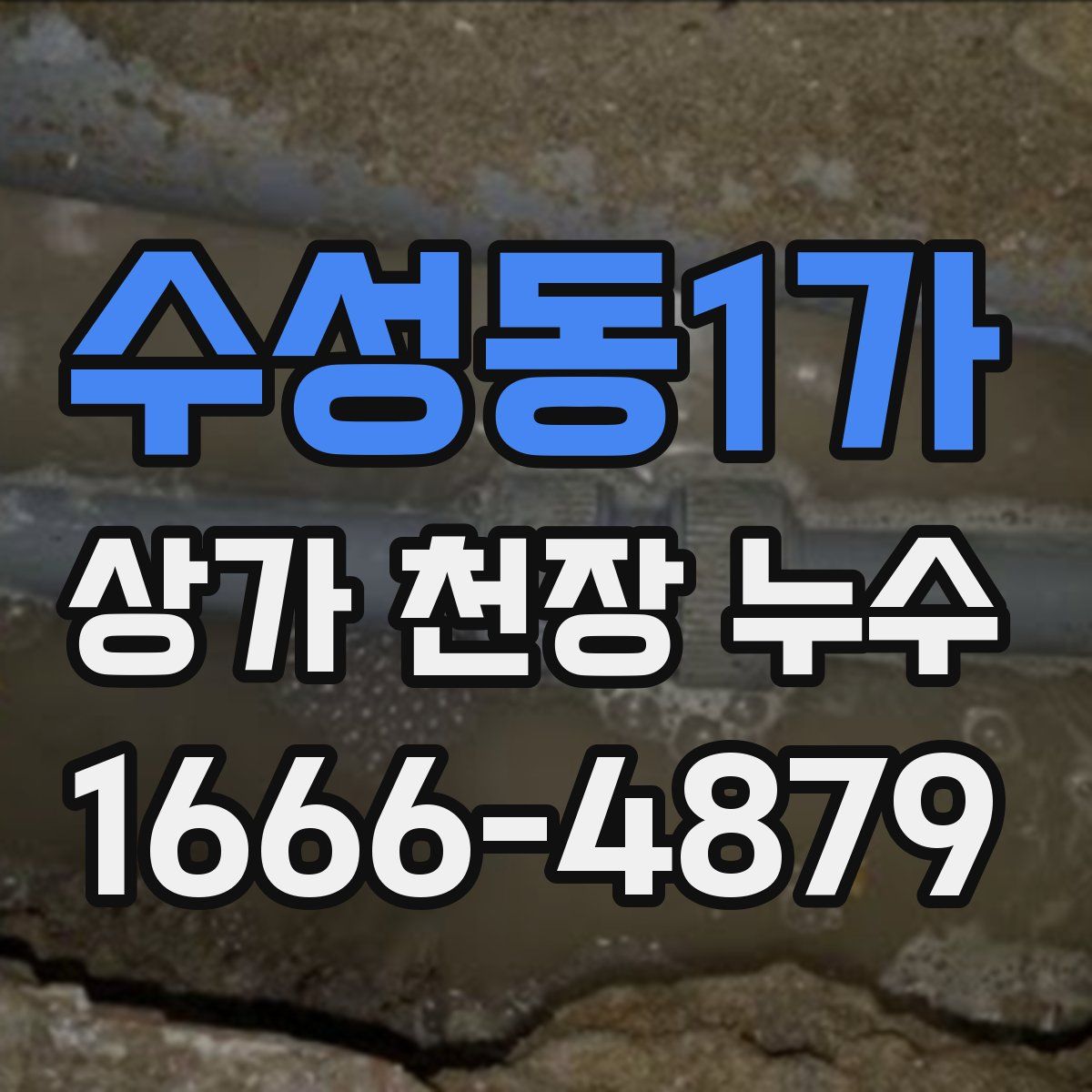 수성동1가 상가 천장 누수