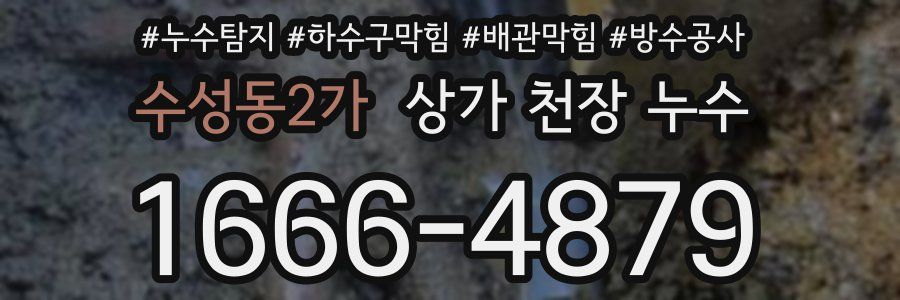 수성동2가 상가 천장 누수