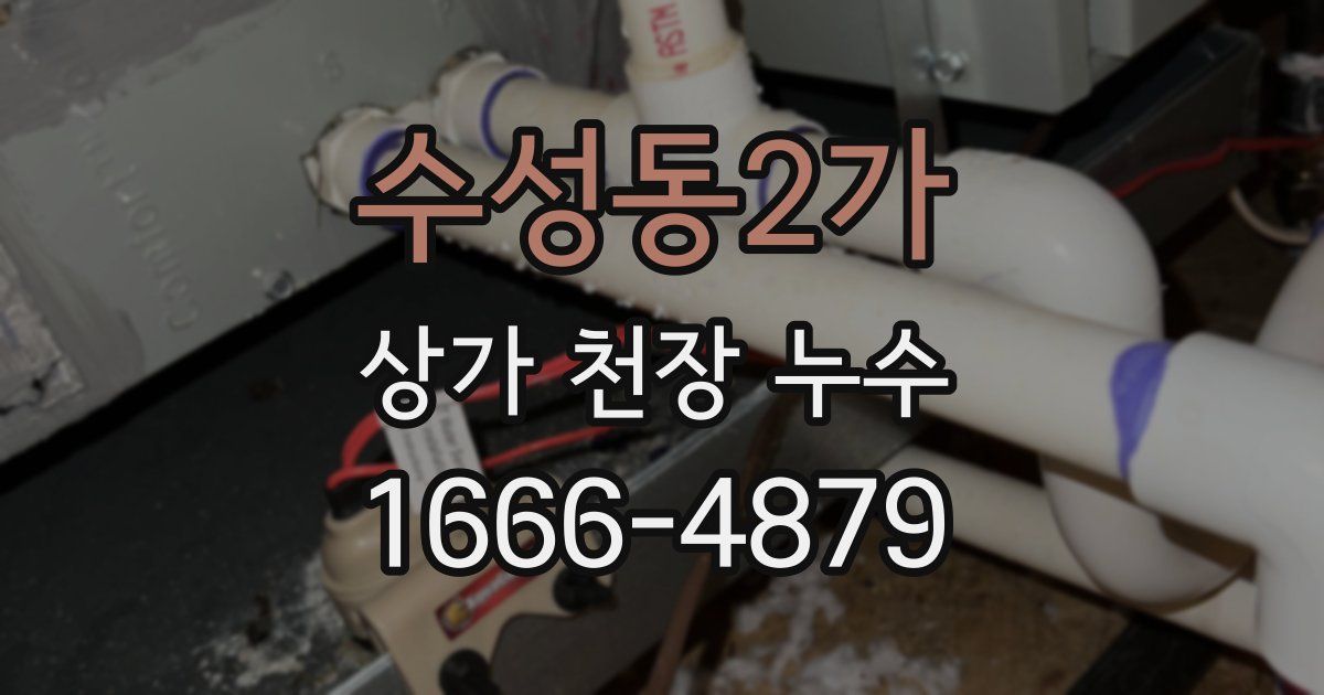 수성동2가 상가 천장 누수