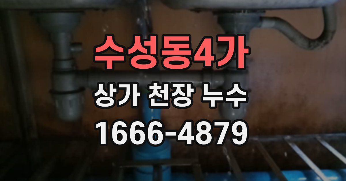 수성동4가 상가 천장 누수