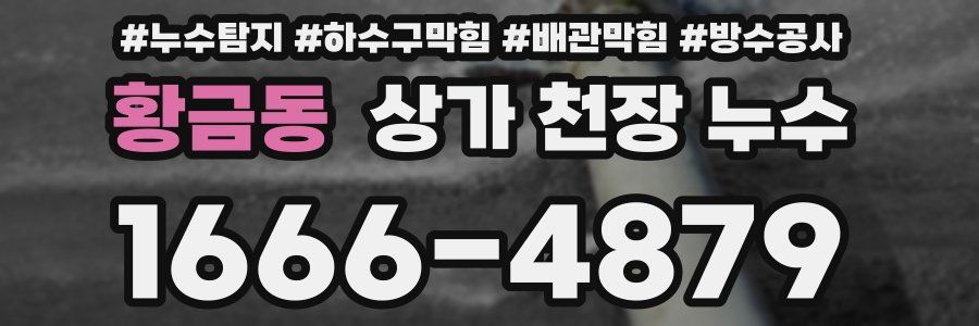 황금동 상가 천장 누수