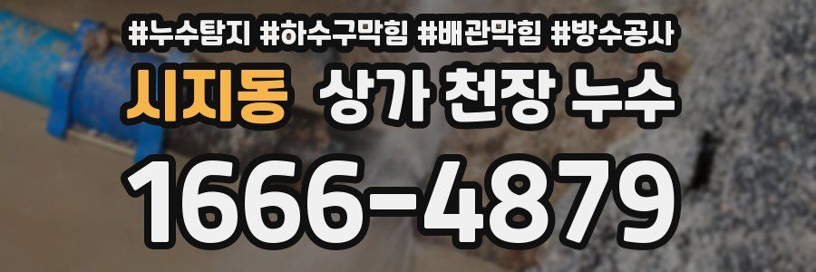 시지동 상가 천장 누수